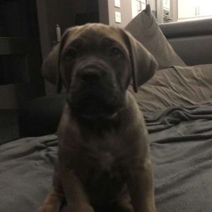 Meet your Posher, Ashton